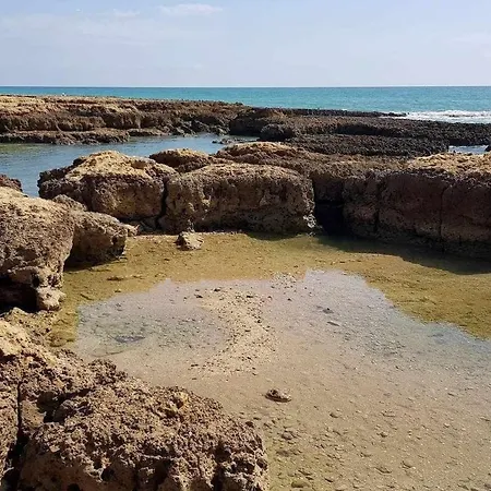 Apartment Cerro Branco *