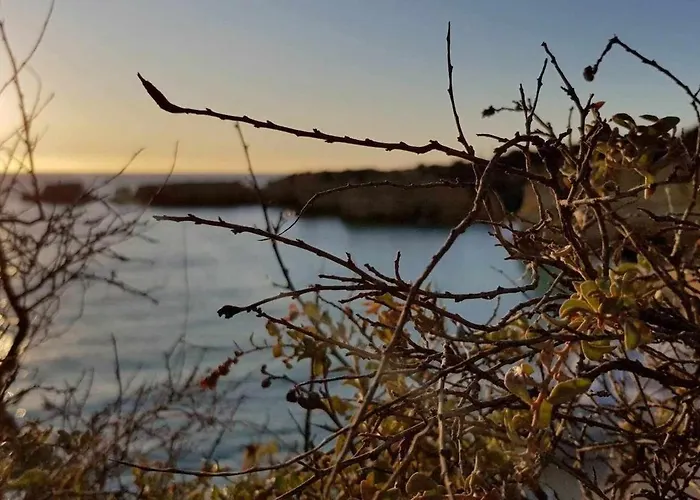 Cerro Branco 아파트 알부페이라