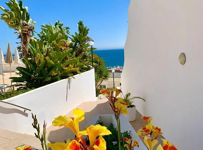 Cerro Branco 알부페이라