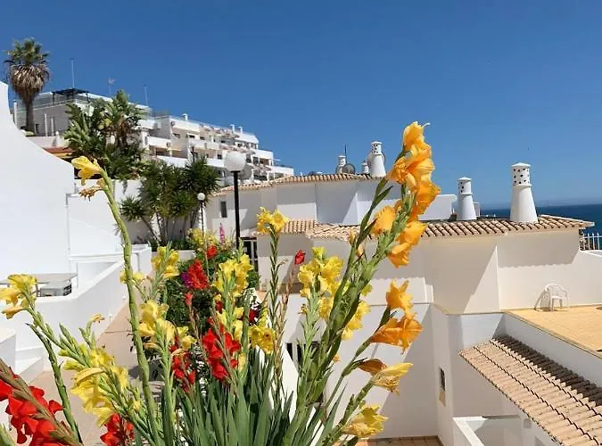 Cerro Branco 아파트