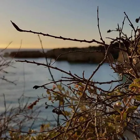 Cerro Branco Apartmán Albufeira
